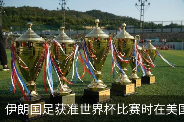 伊朗国足获准世界杯比赛时在美国过夜，观察人士：美伊达成谅解备忘录或许起到了推动作用